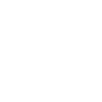 expedite services